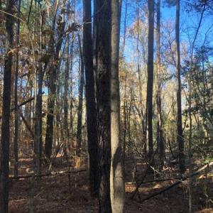 Photo of SOLD!!  6.64 Acres of Residential Land with Home For Sale in Brunswick County VA!
