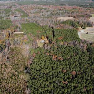 Photo of SOLD!!  6.64 Acres of Residential Land with Home For Sale in Brunswick County VA!