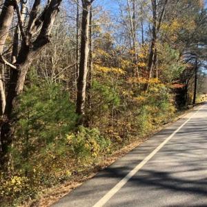 Photo of REDUCED!  10.33 Acres of Hunting Land For Sale in Dinwiddie County VA!