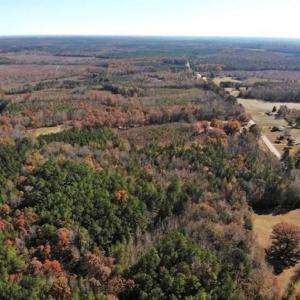 Photo of REDUCED!  10.33 Acres of Hunting Land For Sale in Dinwiddie County VA!