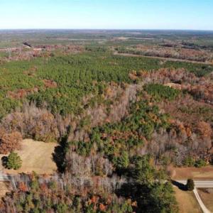 Photo of REDUCED!  10.33 Acres of Hunting Land For Sale in Dinwiddie County VA!