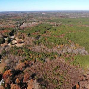 Photo of REDUCED!  10.33 Acres of Hunting Land For Sale in Dinwiddie County VA!