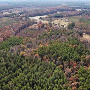 Photo of REDUCED!  10.33 Acres of Hunting Land For Sale in Dinwiddie County VA!