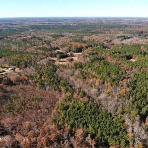 Photo of REDUCED!  10.33 Acres of Hunting Land For Sale in Dinwiddie County VA!