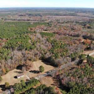 Photo of REDUCED!  10.33 Acres of Hunting Land For Sale in Dinwiddie County VA!