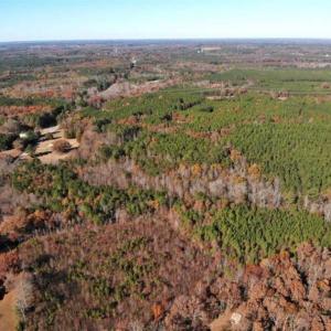 Photo of REDUCED!  10.33 Acres of Hunting Land For Sale in Dinwiddie County VA!