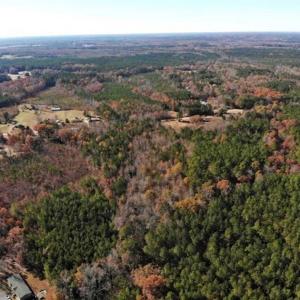 Photo of REDUCED!  10.33 Acres of Hunting Land For Sale in Dinwiddie County VA!