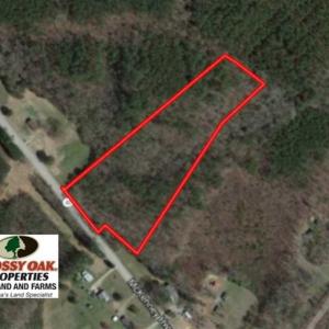 Photo of REDUCED!  10.33 Acres of Hunting Land For Sale in Dinwiddie County VA!