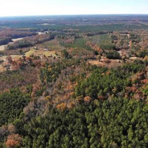 Photo of REDUCED!  10.33 Acres of Hunting Land For Sale in Dinwiddie County VA!
