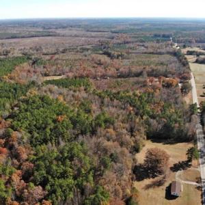 Photo of REDUCED!  10.33 Acres of Hunting Land For Sale in Dinwiddie County VA!