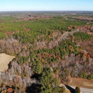 Photo of REDUCED!  10.33 Acres of Hunting Land For Sale in Dinwiddie County VA!