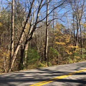 Photo of REDUCED!  10.33 Acres of Hunting Land For Sale in Dinwiddie County VA!