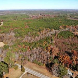Photo of REDUCED!  10.33 Acres of Hunting Land For Sale in Dinwiddie County VA!