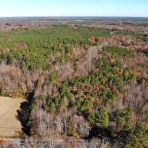 Photo of REDUCED!  10.33 Acres of Hunting Land For Sale in Dinwiddie County VA!