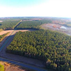 Photo of SOLD!!  40 Acres of Farm and Timber Land For Sale in Columbus County NC!