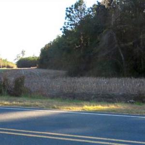 Photo of SOLD!!  40 Acres of Farm and Timber Land For Sale in Columbus County NC!