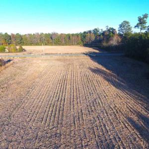 Photo of SOLD!!  40 Acres of Farm and Timber Land For Sale in Columbus County NC!
