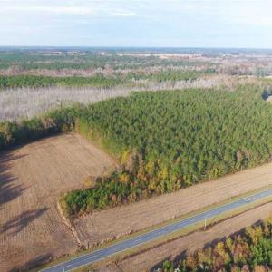 Photo of SOLD!!  40 Acres of Farm and Timber Land For Sale in Columbus County NC!