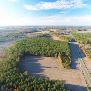 Photo of SOLD!!  40 Acres of Farm and Timber Land For Sale in Columbus County NC!
