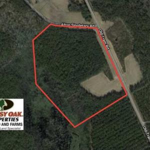 Photo of SOLD!!  40 Acres of Farm and Timber Land For Sale in Columbus County NC!