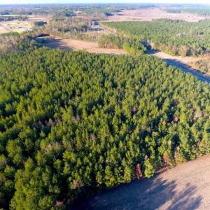 Photo of SOLD!!  40 Acres of Farm and Timber Land For Sale in Columbus County NC!