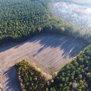 Photo of SOLD!!  40 Acres of Farm and Timber Land For Sale in Columbus County NC!