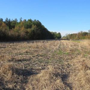 Photo of SOLD!!  40 Acres of Farm and Timber Land For Sale in Columbus County NC!
