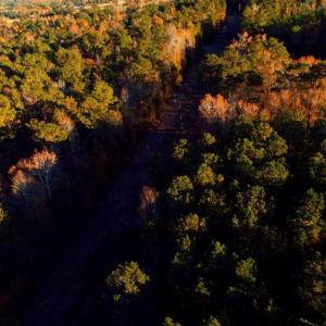 Photo of SOLD!!  7 Acres of Residential Land For Sale in Bladen County NC!