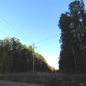 Photo of SOLD!!  7 Acres of Residential Land For Sale in Bladen County NC!