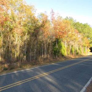Photo of SOLD!!  7 Acres of Residential Land For Sale in Bladen County NC!