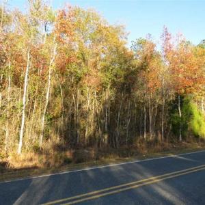 Photo of SOLD!!  7 Acres of Residential Land For Sale in Bladen County NC!
