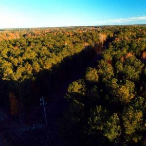 Photo of SOLD!!  7 Acres of Residential Land For Sale in Bladen County NC!
