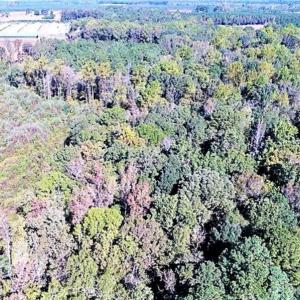 Photo of SOLD!!  44 Acres of Farm and Timber Land For Sale in Pitt County NC!