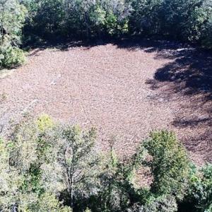 Photo of SOLD!!  44 Acres of Farm and Timber Land For Sale in Pitt County NC!
