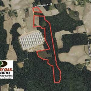 Photo of SOLD!!  44 Acres of Farm and Timber Land For Sale in Pitt County NC!