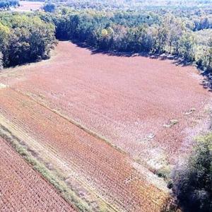 Photo of SOLD!!  44 Acres of Farm and Timber Land For Sale in Pitt County NC!