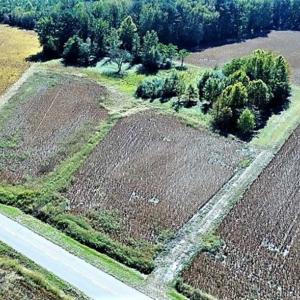 Photo of SOLD!!  44 Acres of Farm and Timber Land For Sale in Pitt County NC!