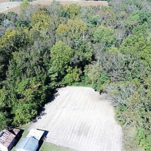 Photo of SOLD!!  36 Acres of Farm and Timber Land For Sale in Edgecombe County NC!