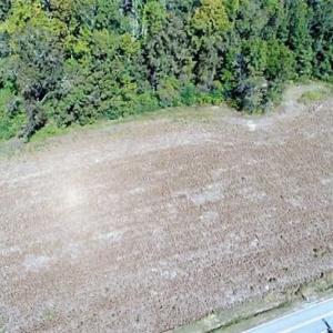 Photo of SOLD!!  36 Acres of Farm and Timber Land For Sale in Edgecombe County NC!
