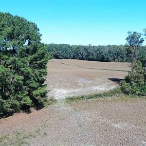 Photo of SOLD!!  36 Acres of Farm and Timber Land For Sale in Edgecombe County NC!