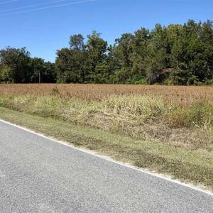 Photo of SOLD!!  36 Acres of Farm and Timber Land For Sale in Edgecombe County NC!