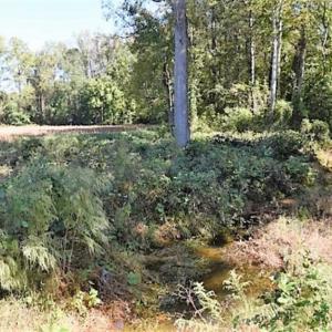Photo of SOLD!!  36 Acres of Farm and Timber Land For Sale in Edgecombe County NC!