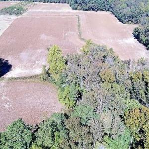 Photo of SOLD!!  36 Acres of Farm and Timber Land For Sale in Edgecombe County NC!