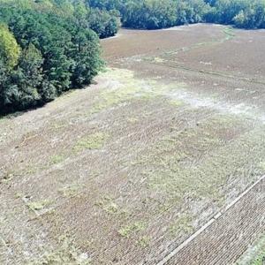 Photo of SOLD!!  36 Acres of Farm and Timber Land For Sale in Edgecombe County NC!