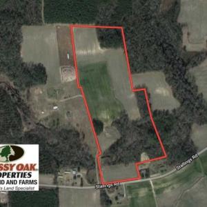 Photo of SOLD!!  36 Acres of Farm and Timber Land For Sale in Edgecombe County NC!
