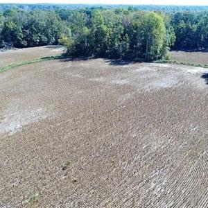 Photo of SOLD!!  36 Acres of Farm and Timber Land For Sale in Edgecombe County NC!