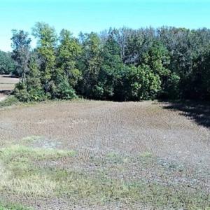 Photo of SOLD!!  36 Acres of Farm and Timber Land For Sale in Edgecombe County NC!