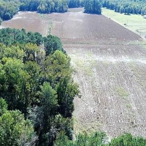Photo of SOLD!!  36 Acres of Farm and Timber Land For Sale in Edgecombe County NC!