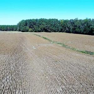 Photo of SOLD!!  36 Acres of Farm and Timber Land For Sale in Edgecombe County NC!