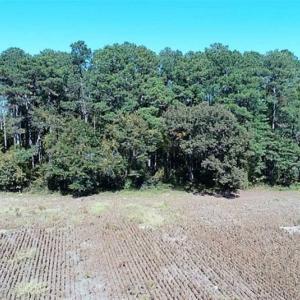 Photo of SOLD!!  36 Acres of Farm and Timber Land For Sale in Edgecombe County NC!